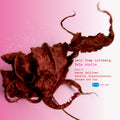 ATBCD-09: Geir Inge Lotsberg, Solo Violin. Yun, Henze, Sallinen a.o.